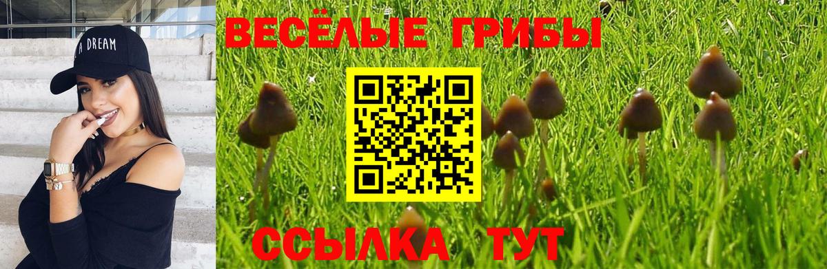 Муравленко  Галлюциногенные грибы Psilocybe  Галлюциногенные грибы GOLDEN TEACHER  Вход с VPN 