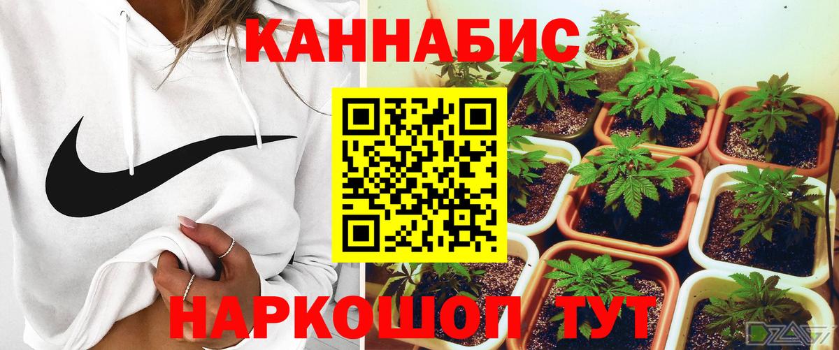 Бошки марихуана тримм Муравленко